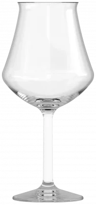 ARÔME CRAFT Sklenice na pivo 325 ml (sada 6 ks) / ONIS