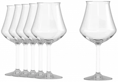 ARÔME CRAFT Sklenice na pivo 325 ml (sada 6 ks) / ONIS