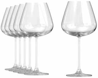 BESPOKE Sklenice na stopce 665 ml (sada 6 ks) / ONIS