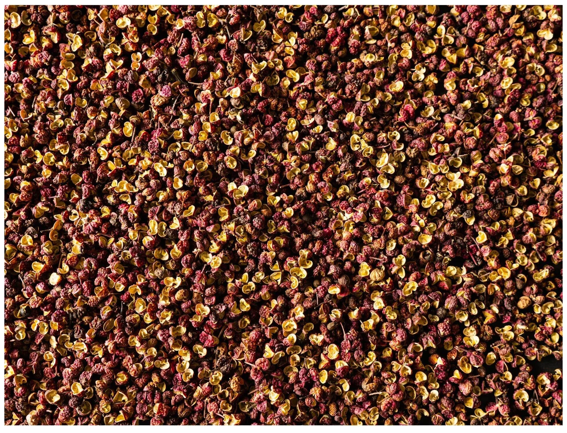 SICHUAN Červený pepř z Číny 40 g / PEUGEOT