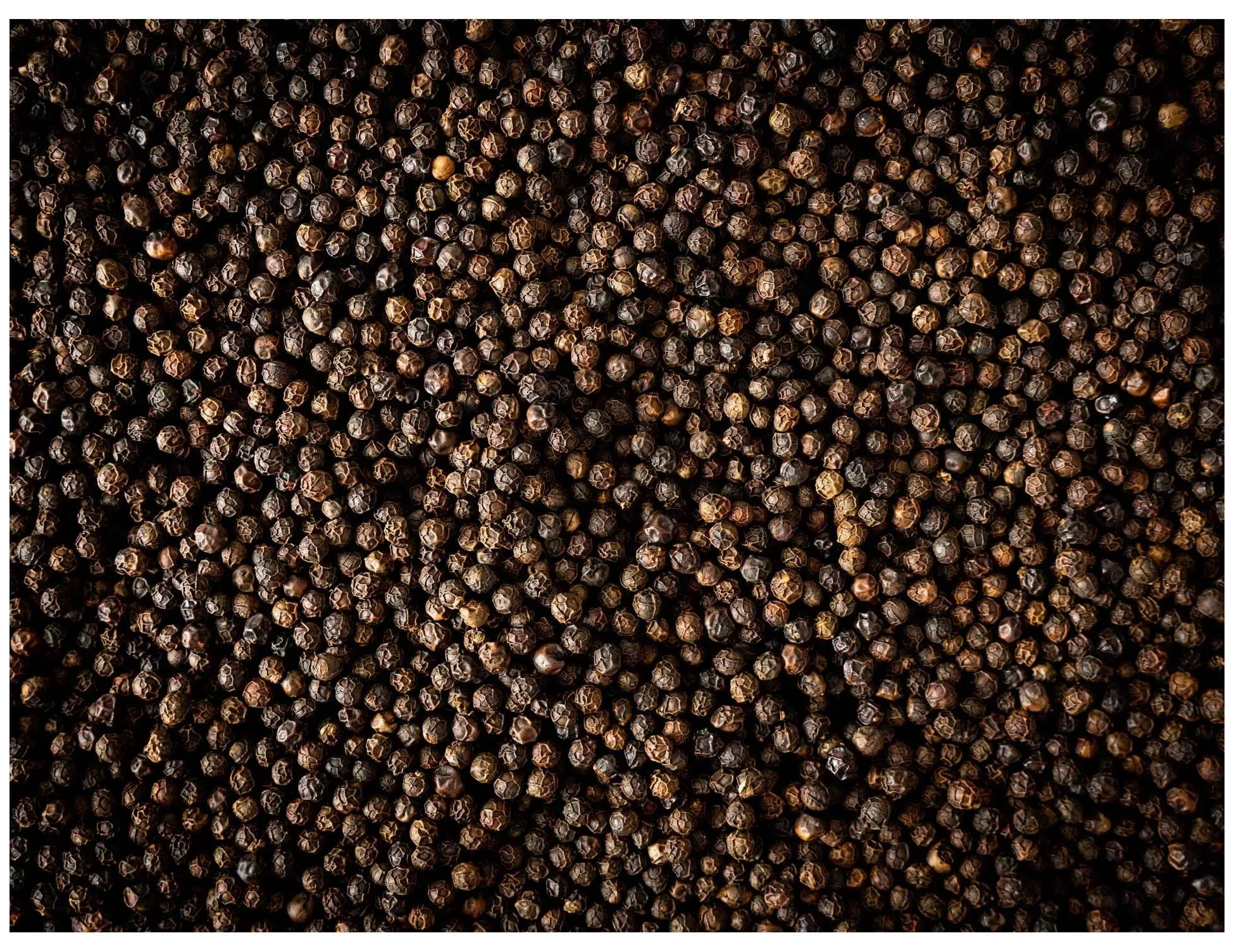 KAMPOT Černý pepř z Kambodže 60 g / PEUGEOT