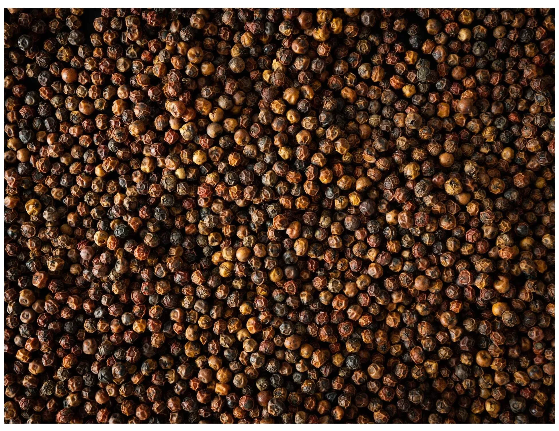 KAMPOT Červený pepř z Kambodže 60 g / PEUGEOT