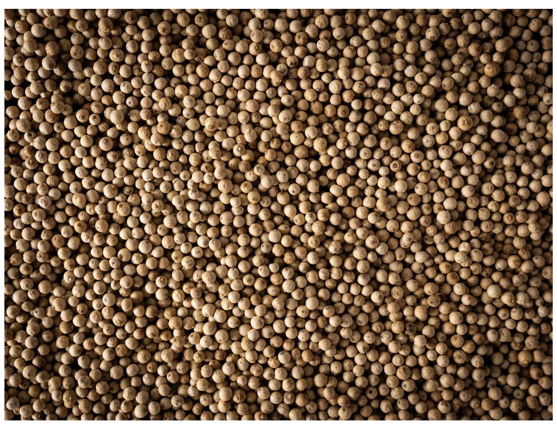 SIKARA Bílý pepř z Madagaskaru 60 g / PEUGEOT