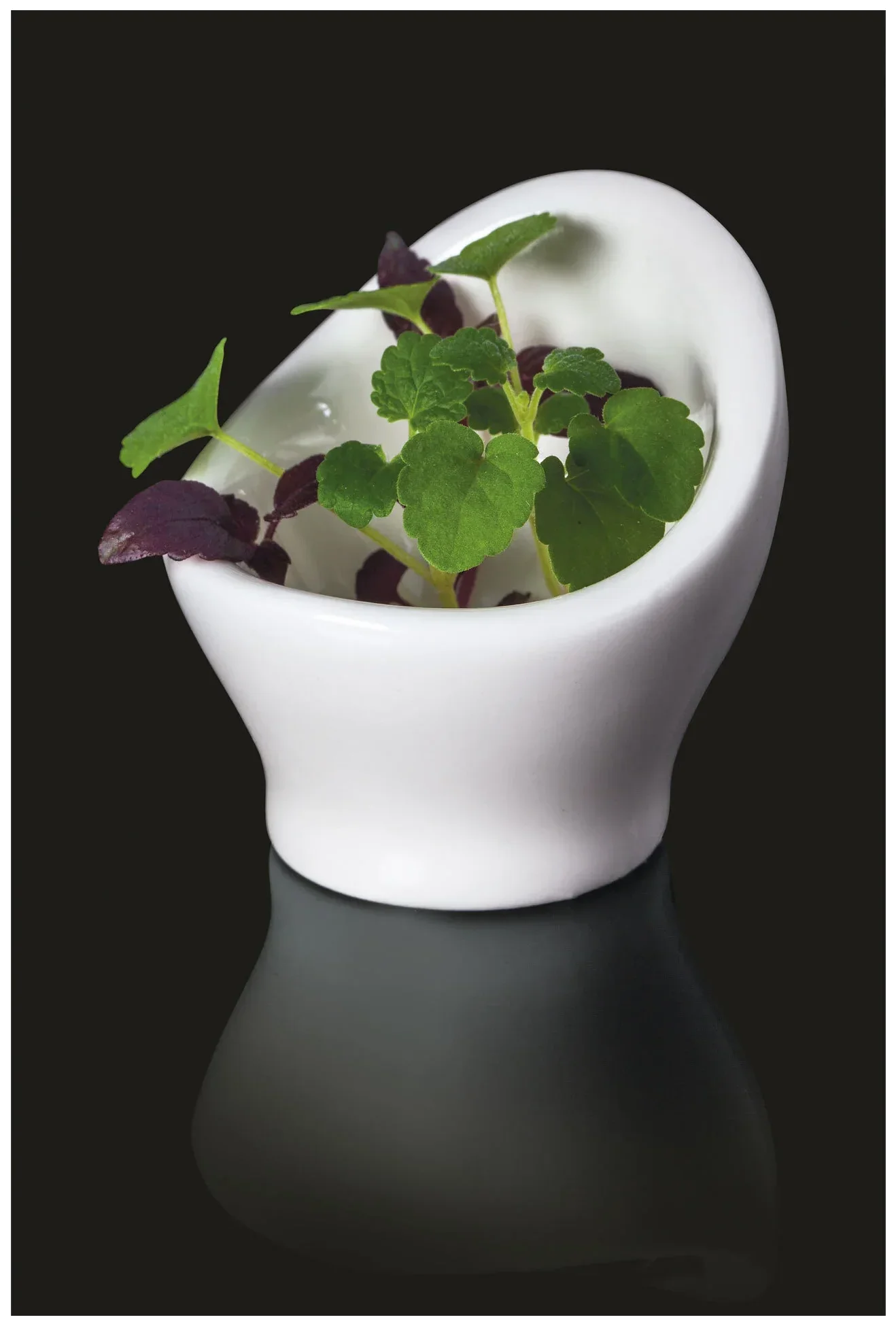 MINIMAX Stojánek na vejce 12 ml / RAK PORCELAIN