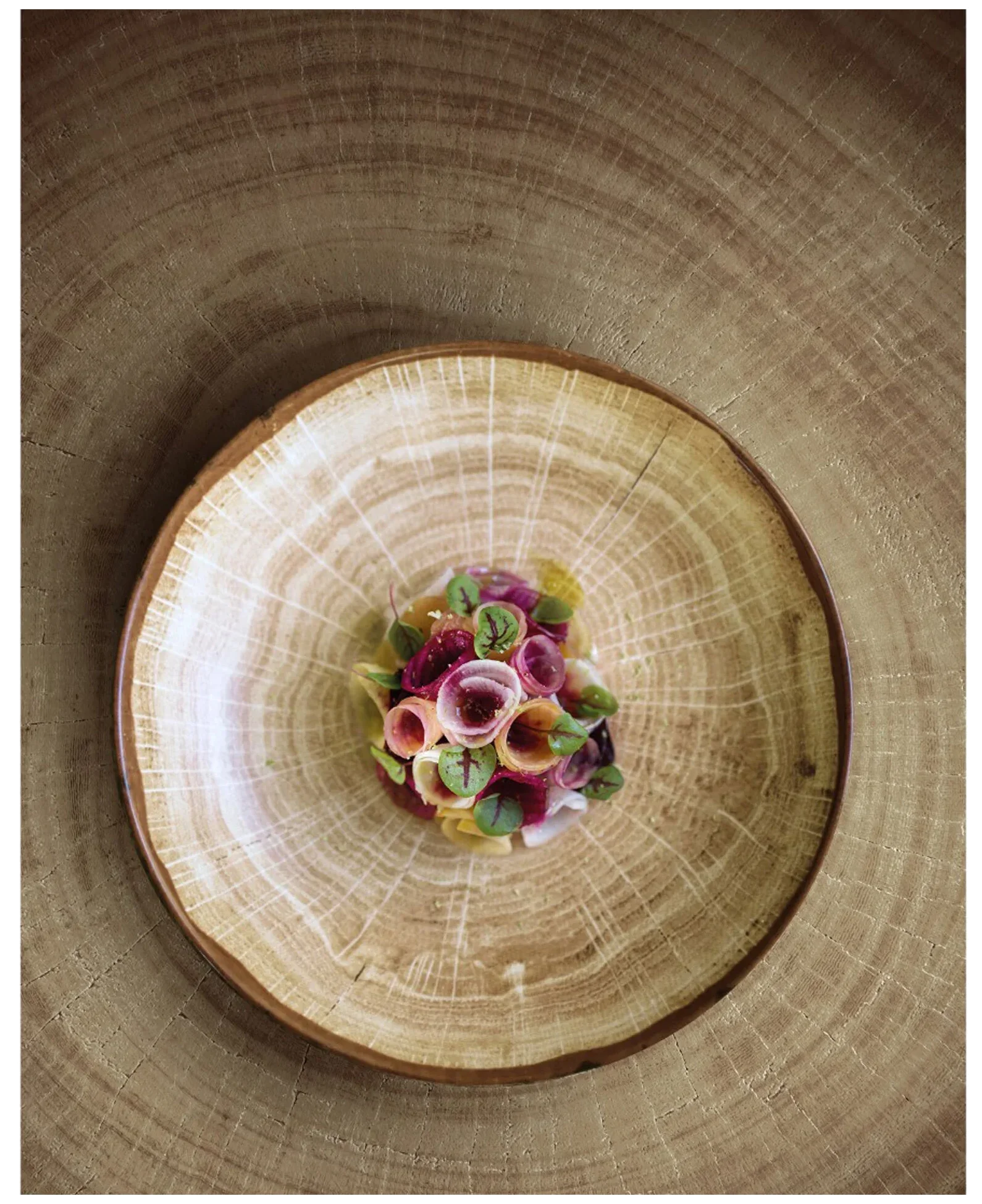 WOODART Hnědý mělký talíř 24 cm / RAK PORCELAIN