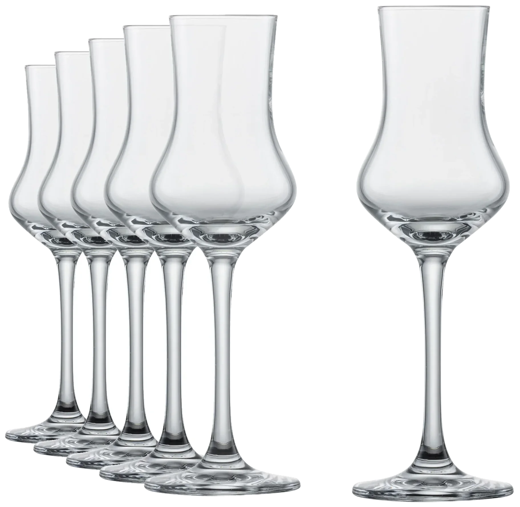 CLASSICO Sklenice na grappu 95 ml, sada 6 ks / SCHOTT ZWIESEL
