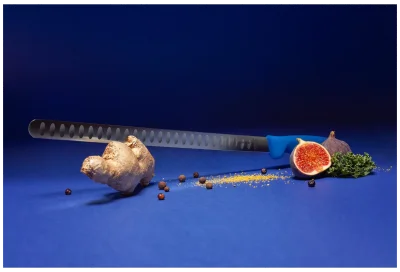 TOMGAST Pružný filetovací nůž s výbrusy, délka 31 cm