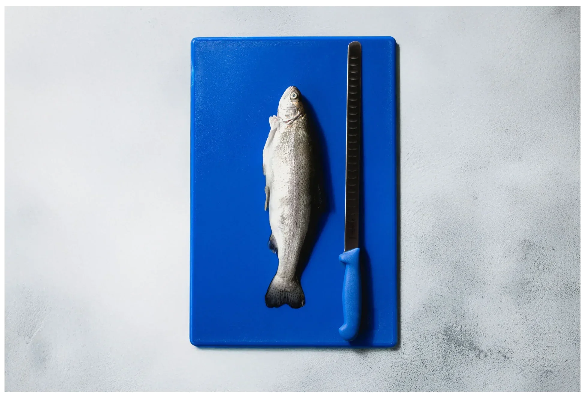 TOMGAST Pružný filetovací nůž s výbrusy, délka 31 cm
